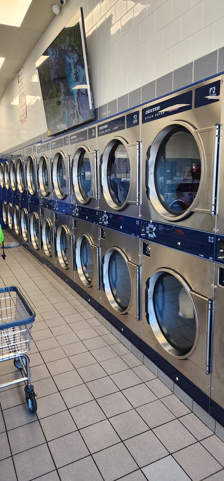 Row of commercial dryers inside Scrub A Dub